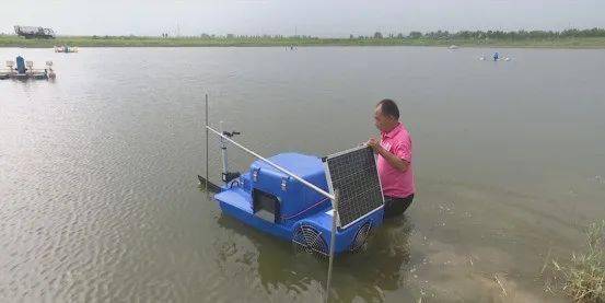 全自動智能投放飼料設備 開啟畜牧漁業養殖新篇章