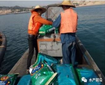 高原三文魚養殖利器 HACCP認證與10.8%臟體比的背后