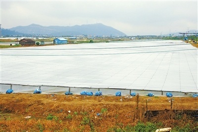 巧用糖水與“棉被” 專家與養(yǎng)殖戶聯(lián)手，科學(xué)應(yīng)對(duì)寒潮守護(hù)畜禽菜籃