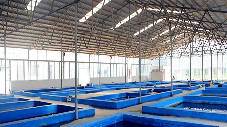 廣西恒洋農(nóng)業(yè)開發(fā)智能化水產(chǎn)養(yǎng)殖 以科技賦能，開啟漁業(yè)新未來